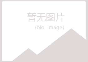 城区无果化学有限公司